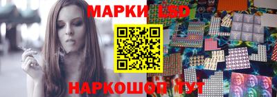 стаф Можга