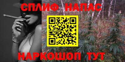 стаф Можга