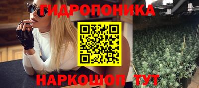 стаф Можга