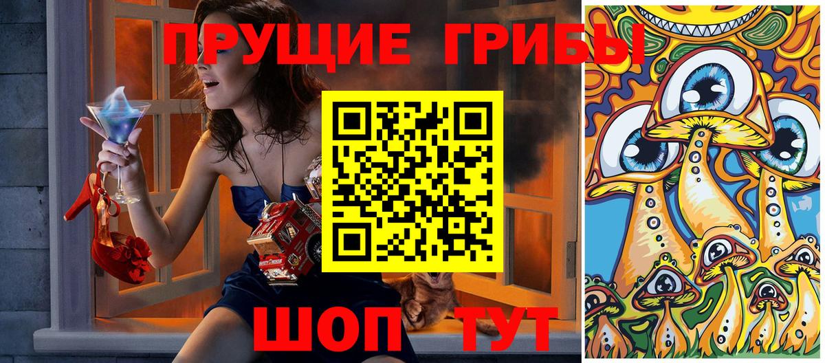 Псилоцибиновые грибы мицелий  Вход с VPN  где можно купить   Чистополь  Галлюциногенные грибы Psilocybine cubensis 