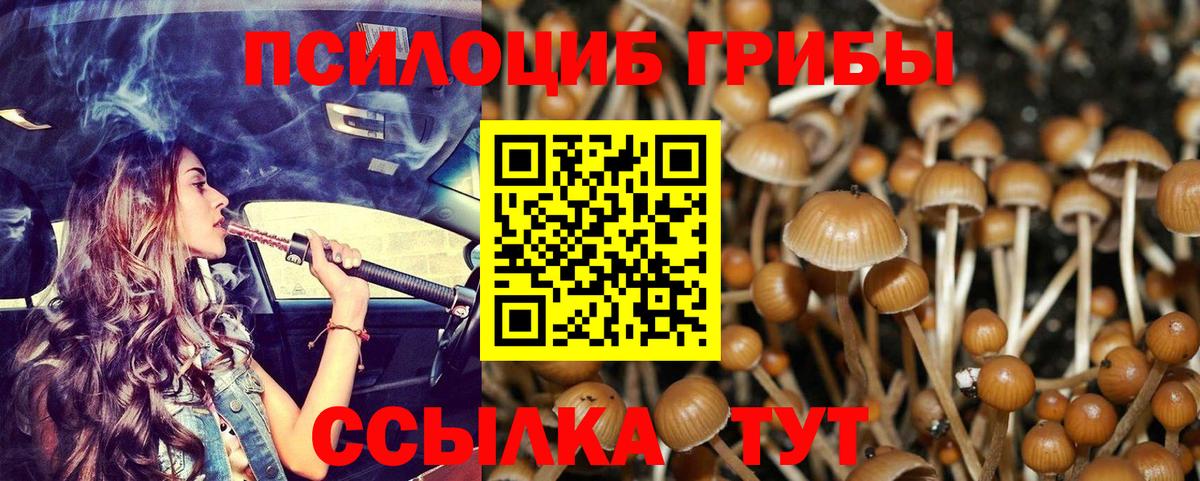 Псилоцибиновые грибы ЛСД Чистополь